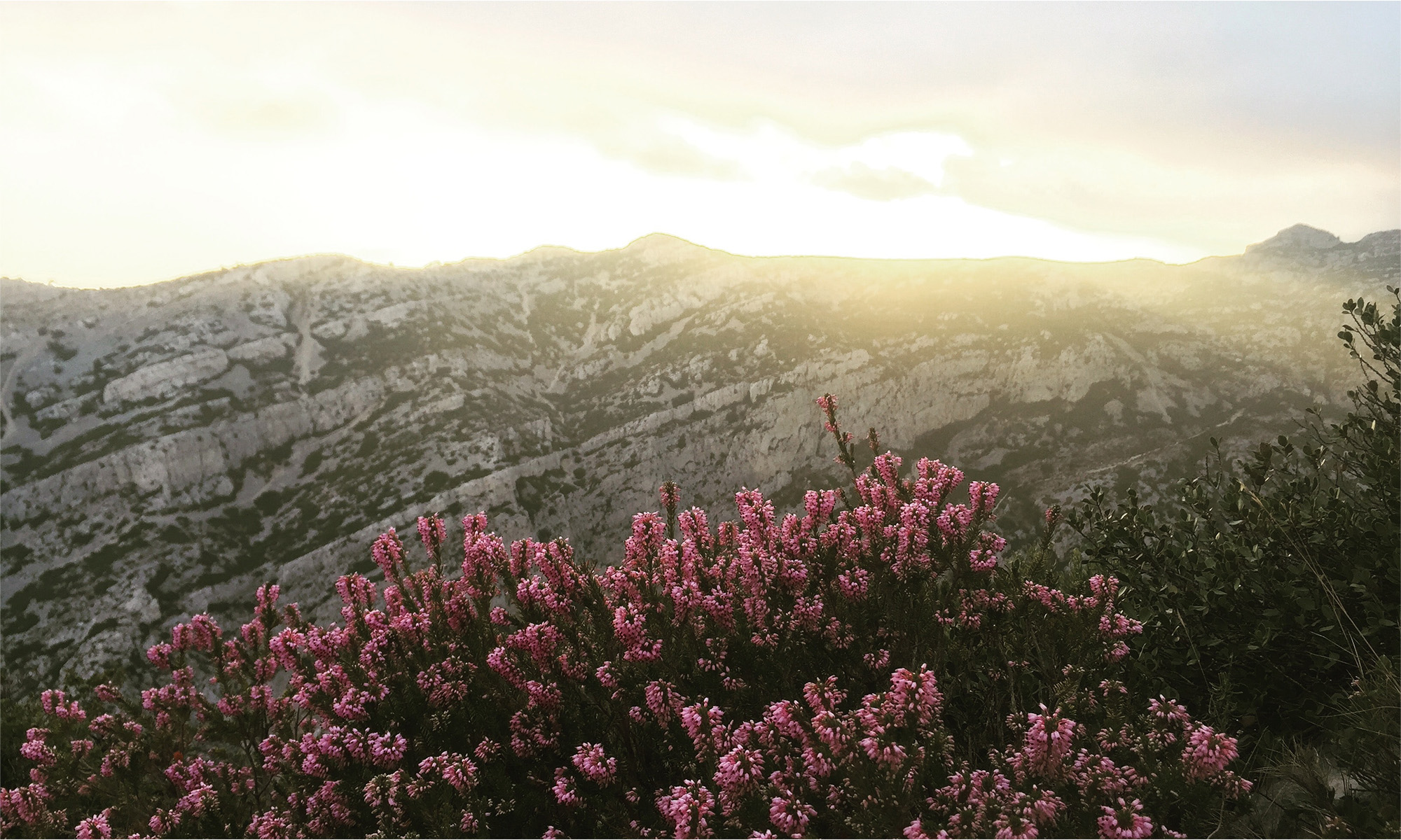 Photo de Provence, naturelle, rocheuse et ensoleillée, lieu d'inspiration Philosophale, appel à la méditation et à la sérénité 