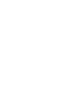 Logo du label COSMOS ORGANIC ECOCERT, pour les produits certifiés bio